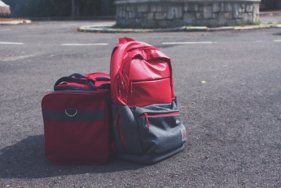 Essential Accessories for Road Trip Readiness